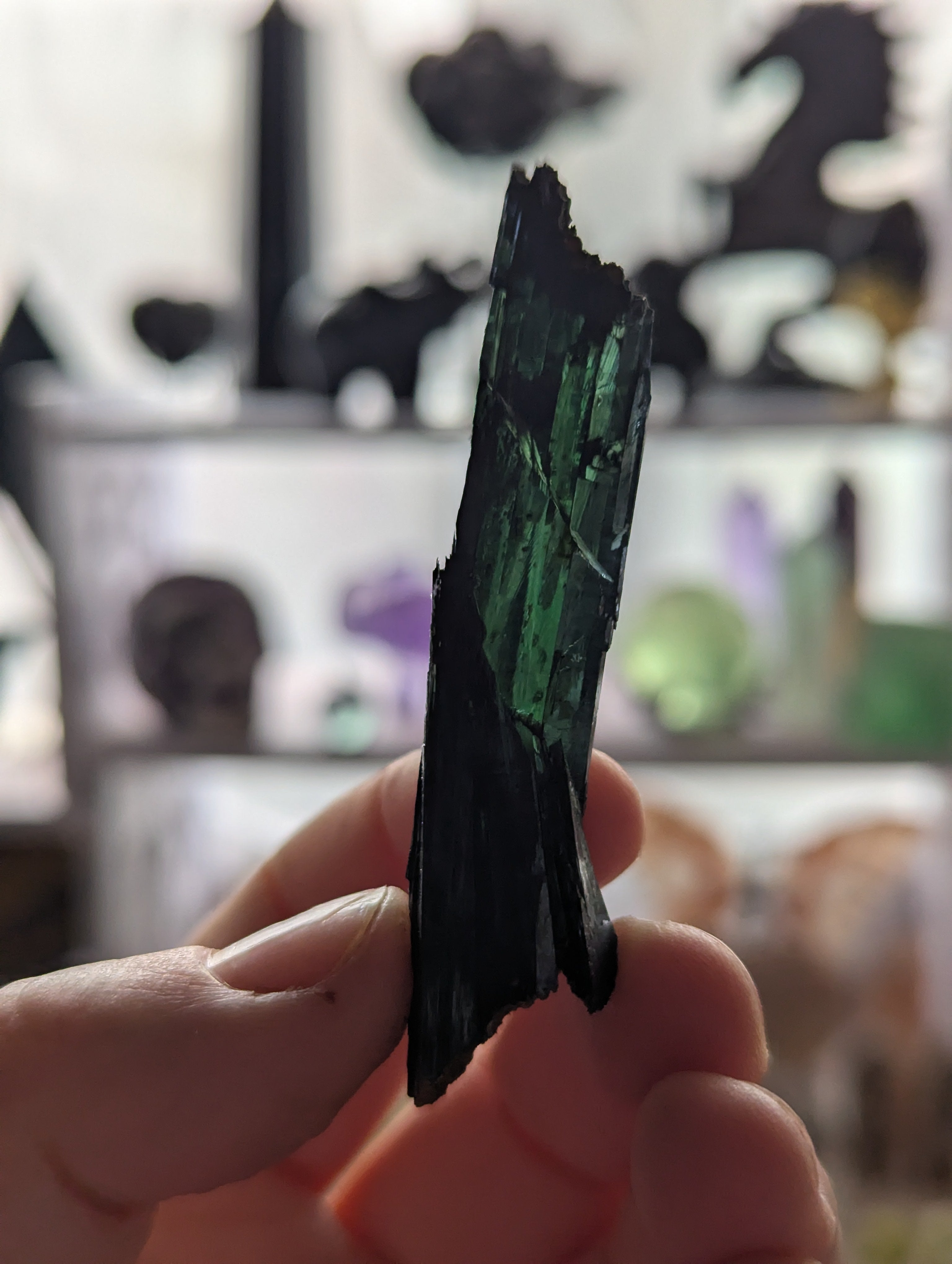 Vivianite specimen in box