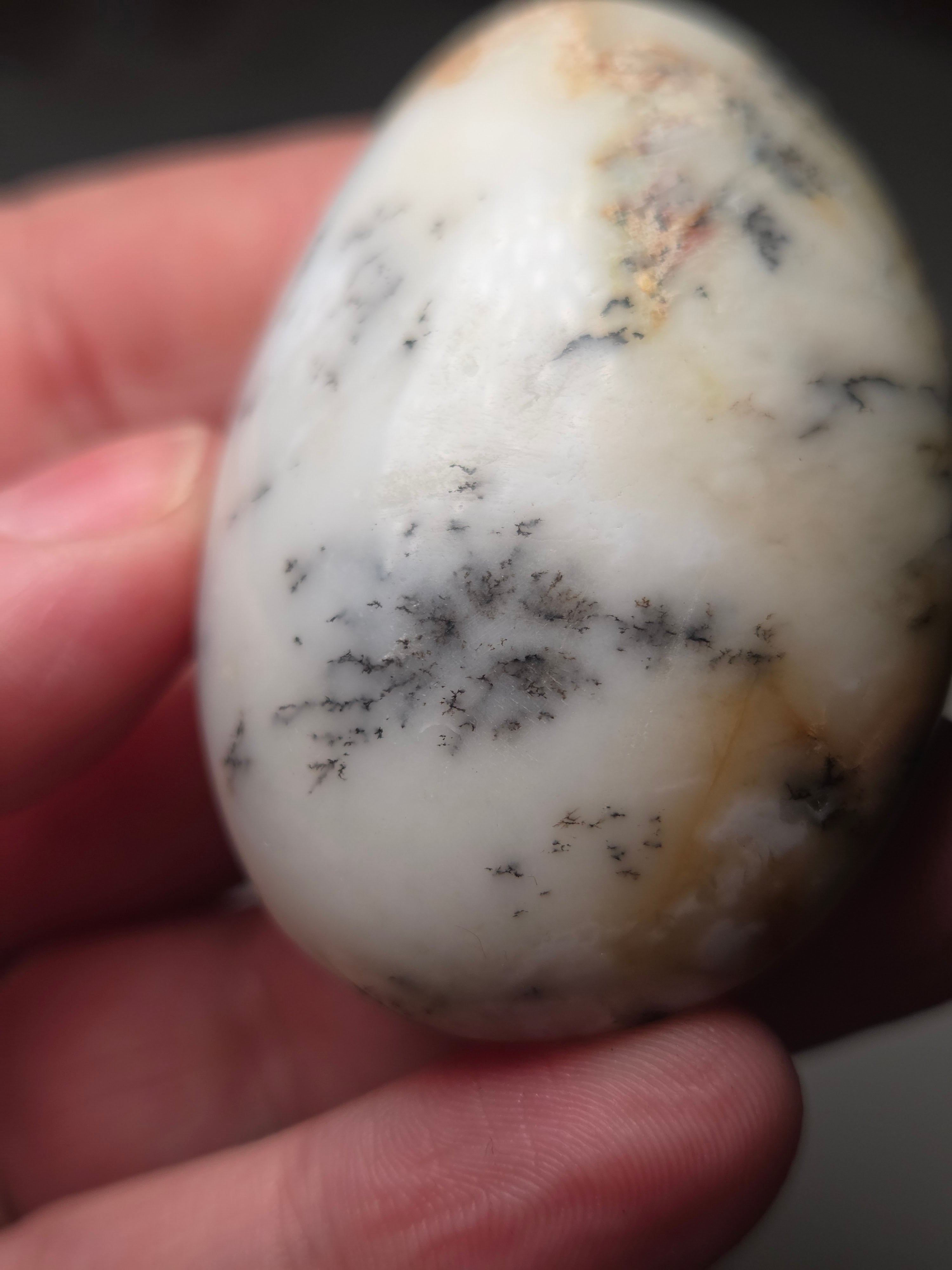 Dendritic crystal opal Palm stone