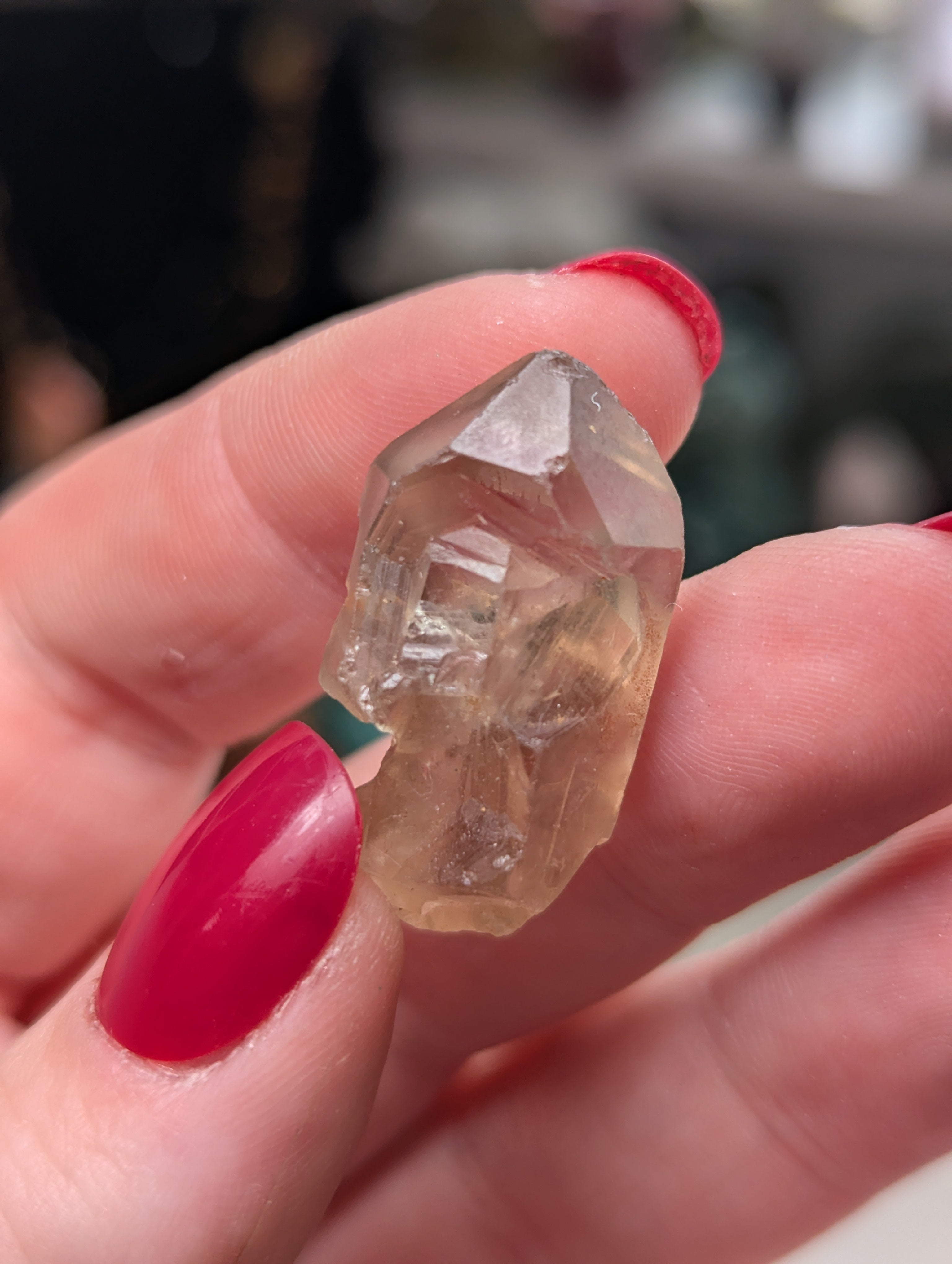 Smokey  Cruz quartz crystal specimen in case