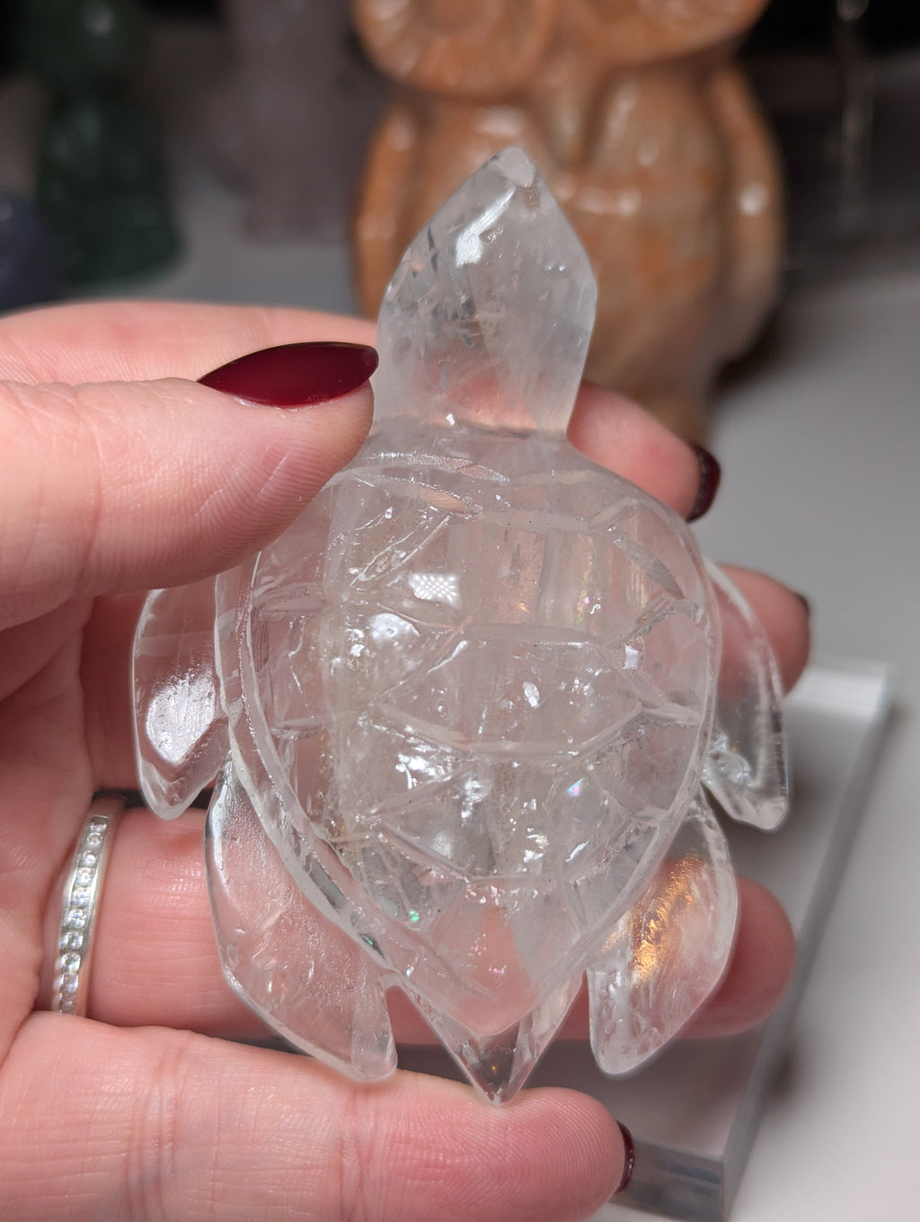 Clear quartz crystal turtle