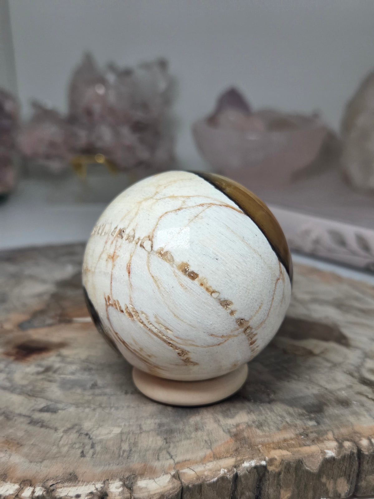 Petrified wood sphere