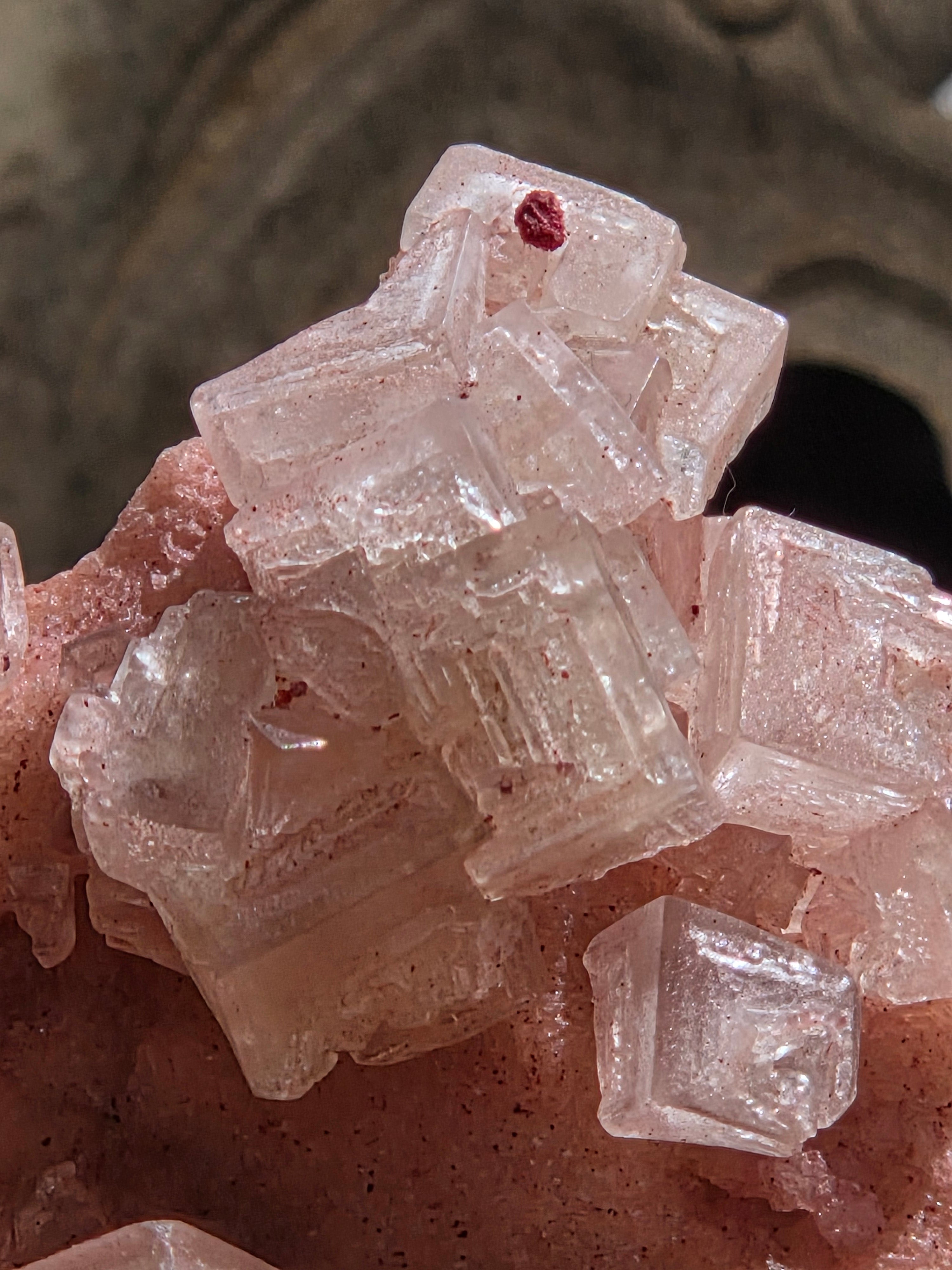 Pink Halite specimen with Stand