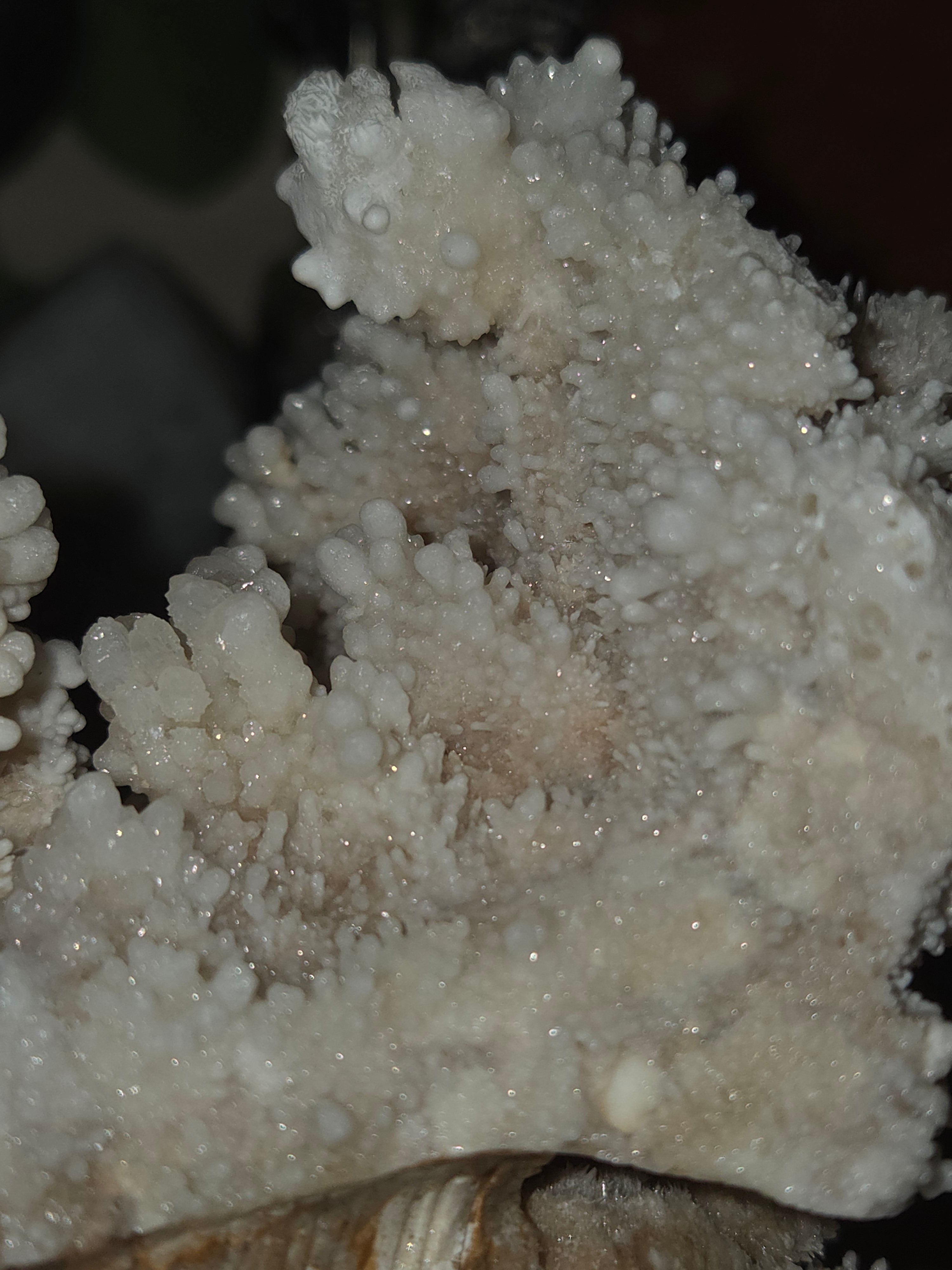 Selestite crystal owl carving