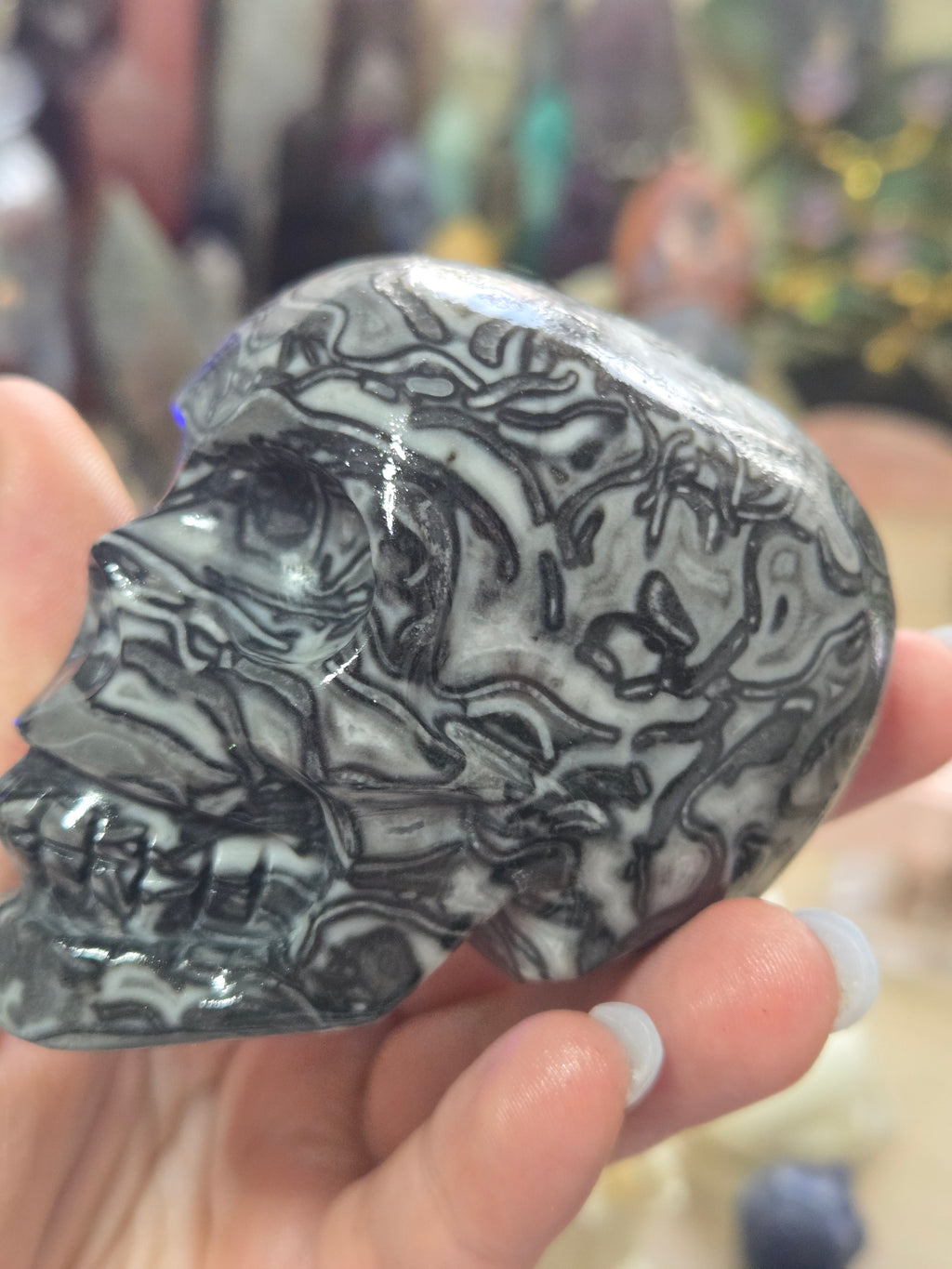 Fossilised coral stone crystal large skull