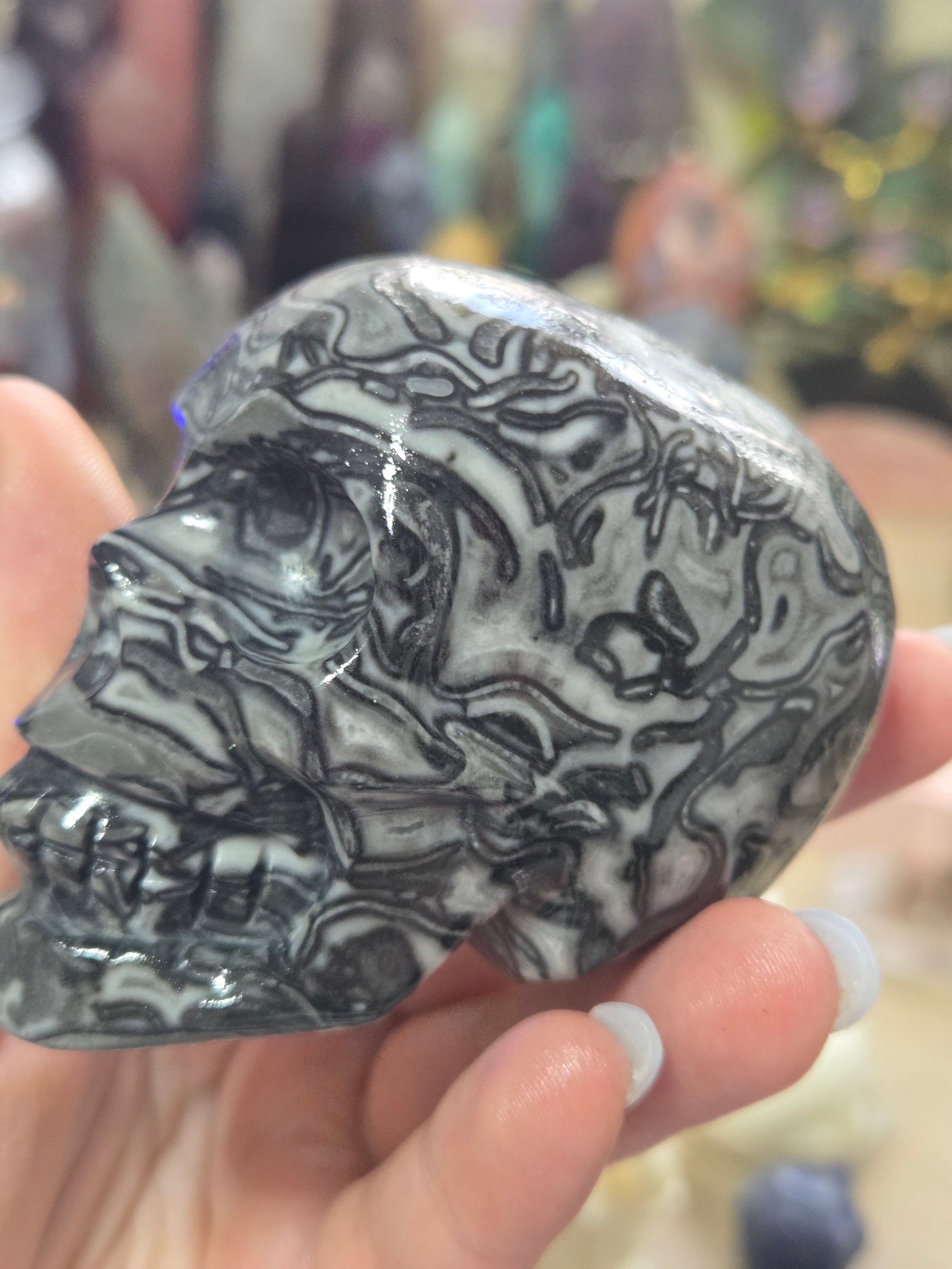Fossilised coral stone crystal large skull